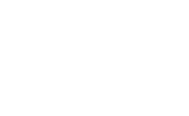 Wealth Guard Insurances